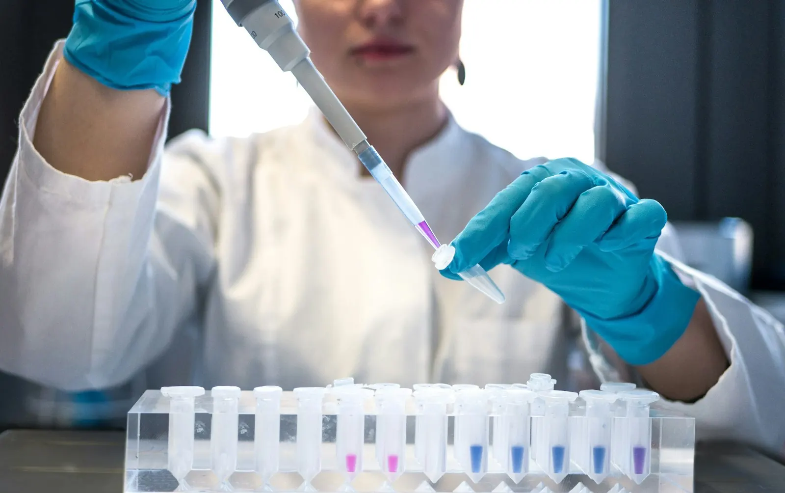 Science experiment with test tubes and a pipette